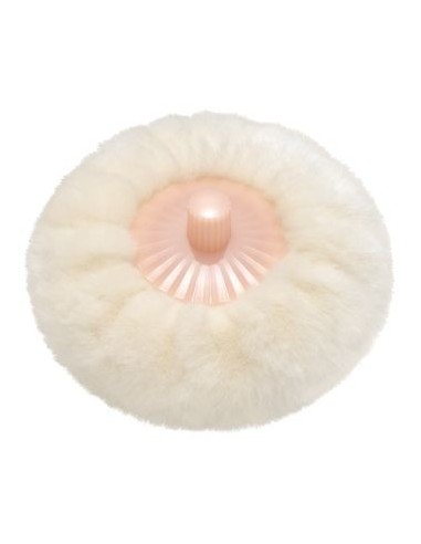 Paul & Joe - Loose Face Powder Box