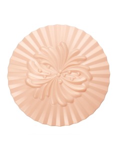 Boitier pour poudre fixante