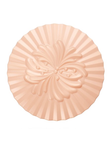 Boitier pour poudre fixante