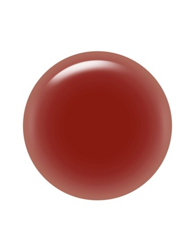 Paul & Joe - Liquid Rouge Tint