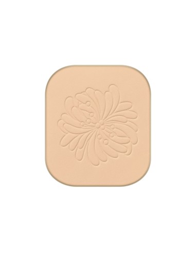 Powder foundation refill N101