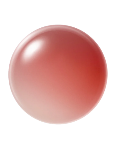 Paul & Joe - Glossy Rouge 06