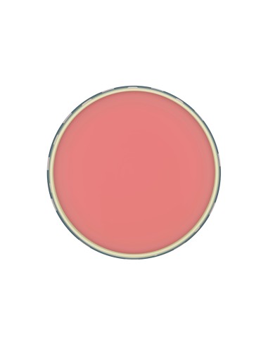 Paul & Joe - Lip conditionning balm 003 - Limited Edition