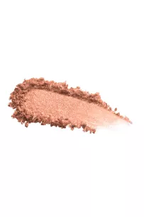 Paul & Joe Blush Refill - Shade 10 Vintage Showgirl 2
